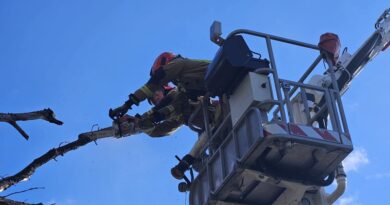 Silny wiatr nad Podkarpaciem. Strażacy interweniowali już ponad 90 razy