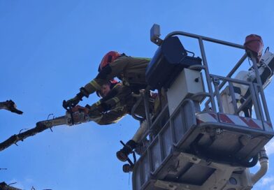 Silny wiatr nad Podkarpaciem. Strażacy interweniowali już ponad 90 razy