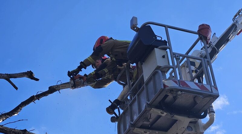 Silny wiatr nad Podkarpaciem. Strażacy interweniowali już ponad 90 razy