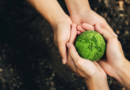 22 kwietnia – Dzień Ziemi. Co naprawdę oznacza troska o planetę?