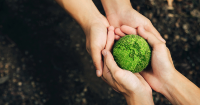 22 kwietnia – Dzień Ziemi. Co naprawdę oznacza troska o planetę?