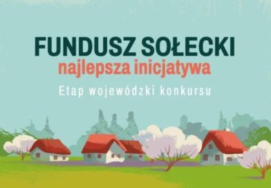 Podkarpackie sołectwa nagrodzone. Dwa wyróżnienia trafiły do powiatu brzozowskiego Podkarpackie sołectwa nagrodzone. Dwa wyróżnienia trafiły do powiatu brzozowskiego