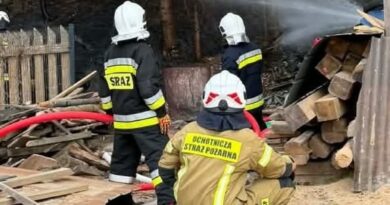 Pożar lasu w Jasienicy Rosielnej. Strażacy bronili pobliskich zabudowań