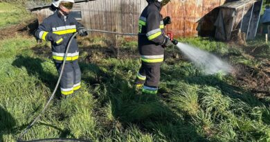 Szybka interwencja strażaków zapobiegła rozprzestrzenieniu się ognia