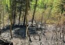 Ponowny pożar w Hucie Poręby. Strażacy wracali w to samo miejsce