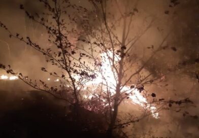 Pożar w leśnictwie Dobra. Kilkugodzinna akcja strażaków i leśników