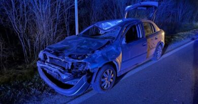Żubr wbiegł pod samochód. Groźne zdarzenie na DW 897 w Woli Michowej