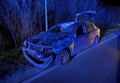 Żubr wbiegł pod samochód. Groźne zdarzenie na DW 897 w Woli Michowej