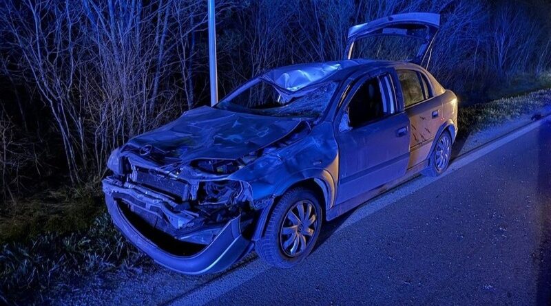Żubr wbiegł pod samochód. Groźne zdarzenie na DW 897 w Woli Michowej