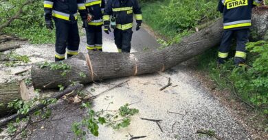 Drzewo zablokowało drogę w Grabownicy Starzeńskiej. Interweniowali strażacy OSP