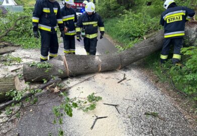 Drzewo zablokowało drogę w Grabownicy Starzeńskiej. Interweniowali strażacy OSP