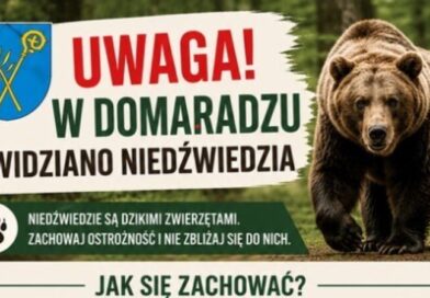 Niedźwiedź pojawił się na terenie gminy Domaradz. Władze apelują o ostrożność