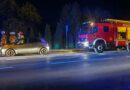 Zderzenie auta z sarną na DW 886. Interweniowały służby ratunkowe