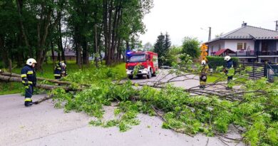 Silny wiatr powalił drzewo na drogę. Interweniowali strażacy z Haczowa