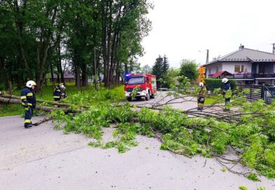 Silny wiatr powalił drzewo na drogę. Interweniowali strażacy z Haczowa