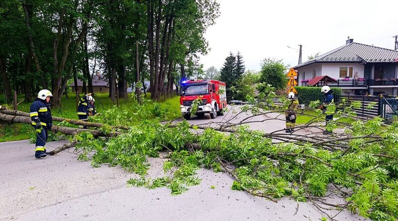 Silny wiatr powalił drzewo na drogę. Interweniowali strażacy z Haczowa