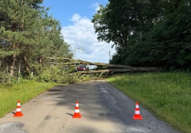 Ulucz: Powalone drzewo zablokowało drogę, uszkodzona została także linia energetyczna Ulucz: Powalone drzewo zablokowało drogę, uszkodzona została także linia energetyczna