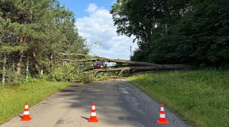 Ulucz: Powalone drzewo zablokowało drogę, uszkodzona została także linia energetyczna Ulucz: Powalone drzewo zablokowało drogę, uszkodzona została także linia energetyczna