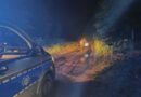 Nocna akcja w lesie pod Ustrzykami Dolnymi. Policjanci odnaleźli zagubionych turystów Nocna akcja w lesie pod Ustrzykami Dolnymi. Policjanci odnaleźli zagubionych turystów