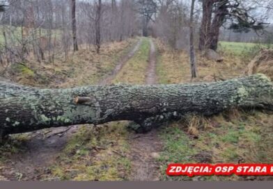 Drzewo zablokowało drogę w Starej Wsi