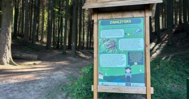 Nowa ścieżka “Zamczysko” już otwarta – przyroda i historia w jednym miejscu
