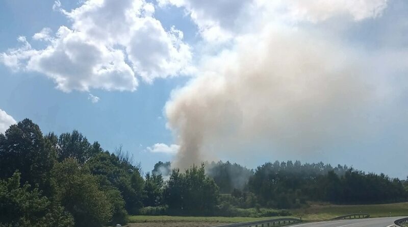 Pożar traw w Jasienicy Rosielnej. Do akcji ruszył także quad strażaków