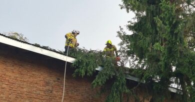 Burza dała się we znaki w Orzechówce. Strażacy usuwali powalone drzewa i zagrożenia
