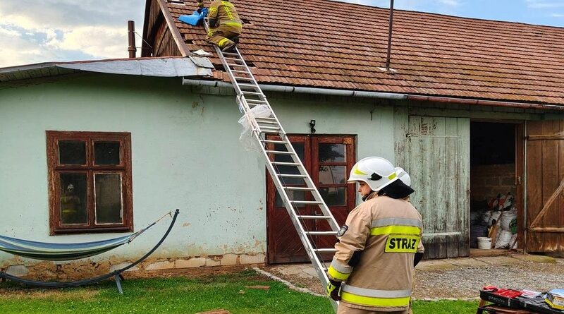 Pracowity lipiec strażaków z OSP Brzozów. Burze, poszukiwania i interwencje na drogach Pracowity lipiec strażaków z OSP Brzozów. Burze, poszukiwania i interwencje na drogach