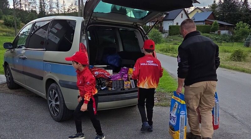 Młodzi strażacy z OSP Wola Górecka pomogli zwierzętom. Zebrana karma trafiła do potrzebujących