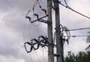 Pożar transformatora w Temeszowie. Na miejscu strażacy i pogotowie energetyczne
