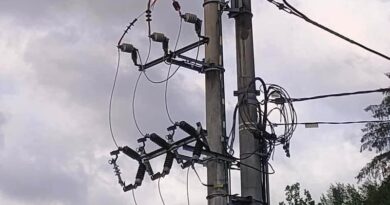 Pożar transformatora w Temeszowie. Na miejscu strażacy i pogotowie energetyczne