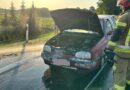 Pożar samochodu osobowego w Grabownicy Starzeńskiej. Na miejscu interweniowali strażacy
