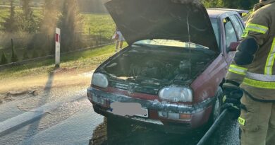 Pożar samochodu osobowego w Grabownicy Starzeńskiej. Na miejscu interweniowali strażacy