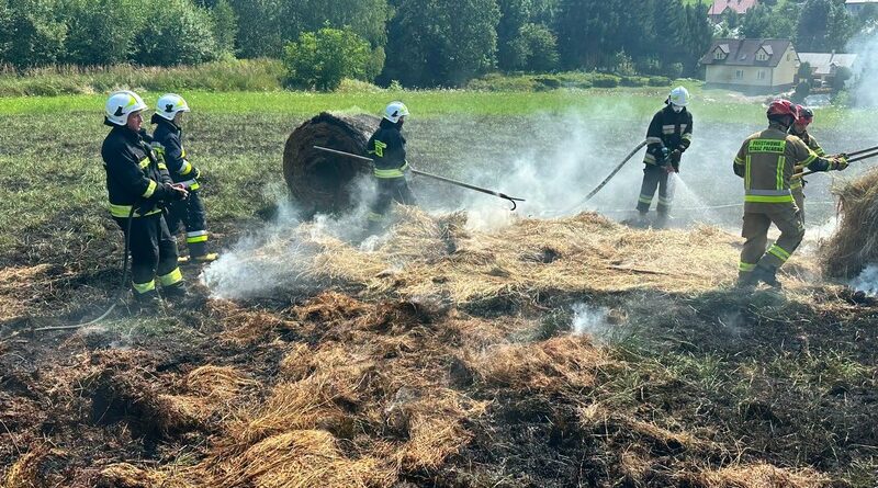 Pożar traw w Grabownicy Starzeńskiej. Strażacy apelują o rozwagę Pożar traw w Grabownicy Starzeńskiej. Strażacy apelują o rozwagę