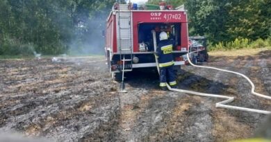 Pożar nieużytków rolnych w Górkach. Strażacy szybko opanowali ogień