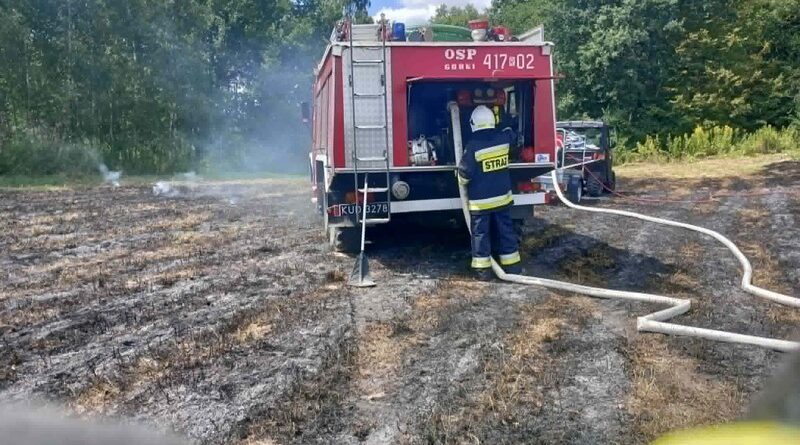 Pożar nieużytków rolnych w Górkach. Strażacy szybko opanowali ogień