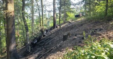 Kolejny pożar lasu na terenie Nadleśnictwa Brzozów. Leśnicy apelują o rozwagę