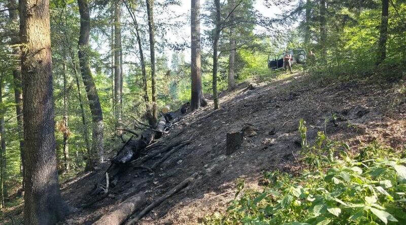 Kolejny pożar lasu na terenie Nadleśnictwa Brzozów. Leśnicy apelują o rozwagę