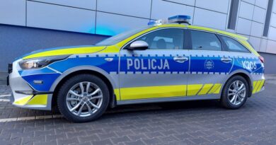 Zatrzasnęła kluczyki w samochodzie. W środku była jej 2,5-letnia córka Zatrzasnęła kluczyki w samochodzie. W środku była jej 2,5-letnia córka