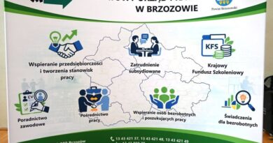 Praca, edukacja i nowe technologie – Brzozów zaprosił na targi