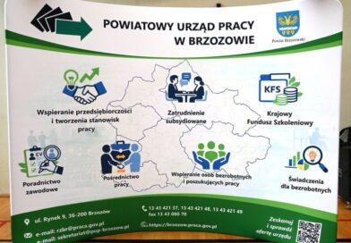 Praca, edukacja i nowe technologie – Brzozów zaprosił na targi