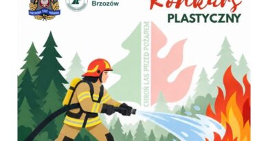 „Chroń las przed pożarem” – konkurs plastyczny dla uczniów z powiatów brzozowskiego i sanockiego „Chroń las przed pożarem” – konkurs plastyczny dla uczniów z powiatów brzozowskiego i sanockiego