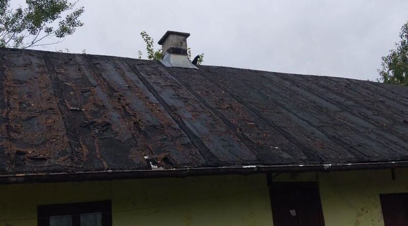 Kot uwięziony na dachu opuszczonego domu. Interweniowali strażacy z Humnisk