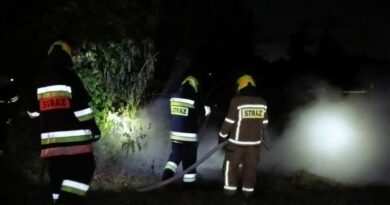Pożar wysypiska w Warze. Ogień przeniósł się na drzewa