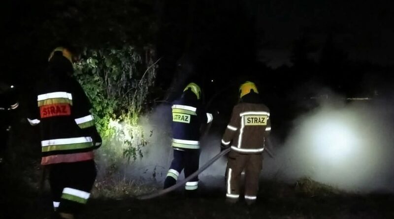 Pożar wysypiska w Warze. Ogień przeniósł się na drzewa