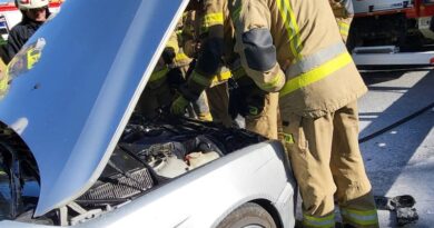 Pożar BMW na S19. Samochód stanął w ogniu podczas jazdy