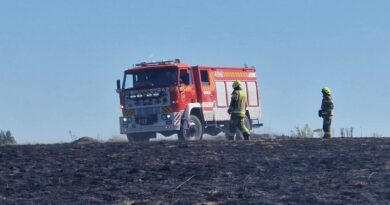 Pożar traw w Górkach. Ogień w pobliżu zabudowań