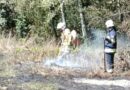 Pożar traw w Starej Wsi. Ogień zbliżał się do lasu