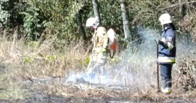 Pożar traw w Starej Wsi. Ogień zbliżał się do lasu