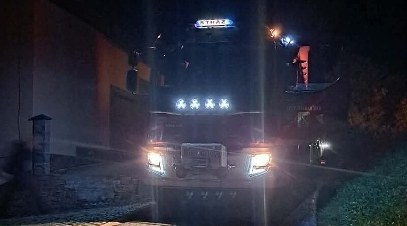 Kot utknął na drzewie. Na pomoc ruszyli strażacy